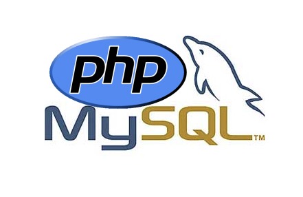 php mysql web development india