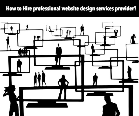 Hire Professional Website Design Services Provider Agency in India