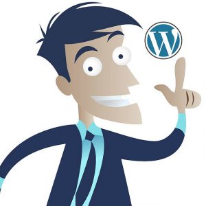 Best Freelance WordPress Developer India
