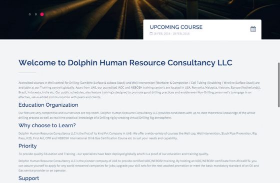 dolphin human resource consultancy llc