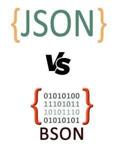 JSON vs BSON